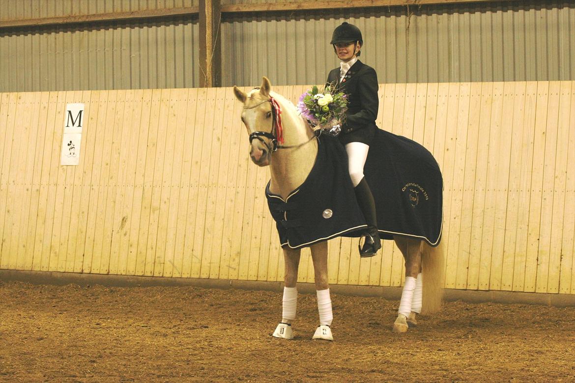 Tysk Sportspony FS Concorde SPH 179 R.I.P <3 - Championatsvinder 2010. <3 En uforglemmelig dag! <3 billede 3