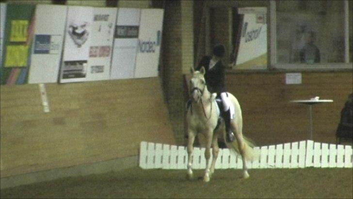 Tysk Sportspony FS Concorde SPH 179 R.I.P <3 - Det jeg savner allermest <3 billede 8