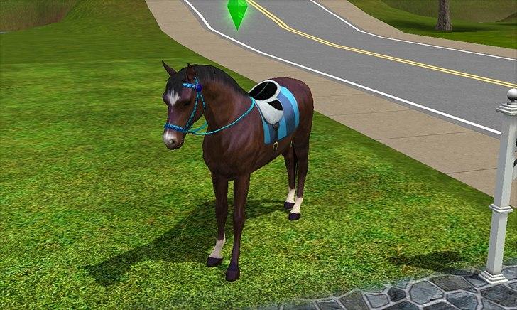 Dansk Varmblod Baronessen *Elevhest* (Har redet) - Baronessen som Sims 3 hest:)  billede 18