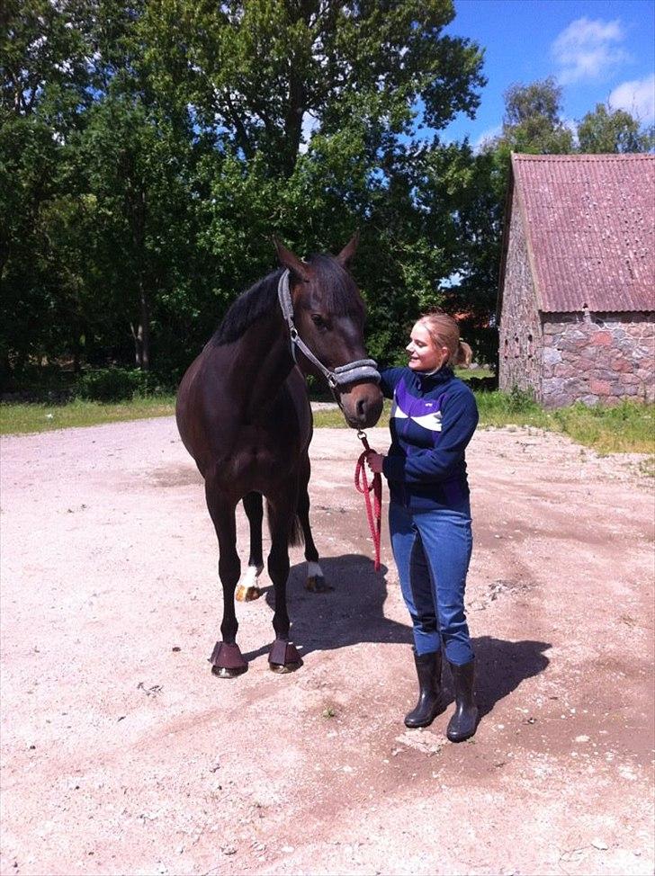 Anden særlig race Melina billede 4