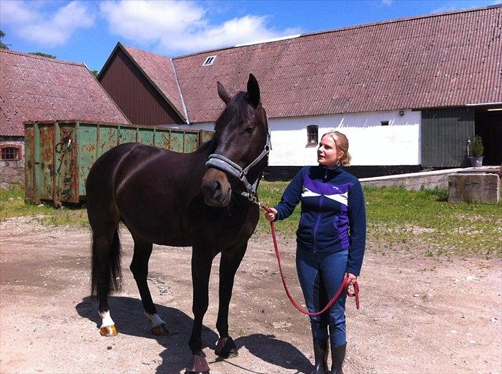 Anden særlig race Melina billede 5