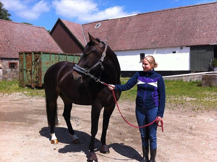 Anden særlig race Melina billede 6