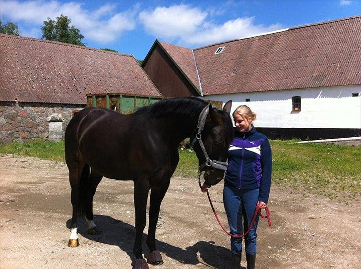 Anden særlig race Melina billede 7