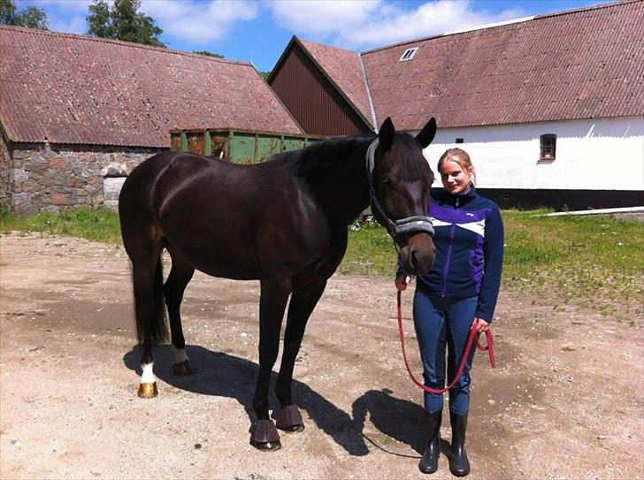 Anden særlig race Melina billede 8