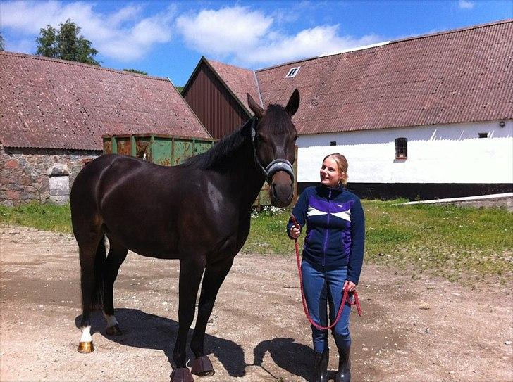 Anden særlig race Melina billede 9