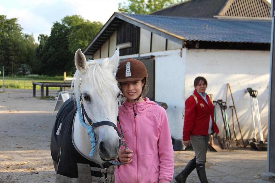 Anden særlig race Monique  drømme-ponyen MinBedsteVen - jeg elsker dig skat du er min bedste-ven, og du har gjort mig til den jeg er. <3 baby det er os to <3 billede 9