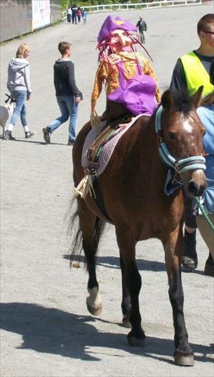 Anden særlig race Dina - Dyrskuet d. 23. juni 2012 :D
Havde ikke meget tid til at finde på et kustume, så det blev til en heks på ryggen nu hvor det var sankt hans aften. billede 18