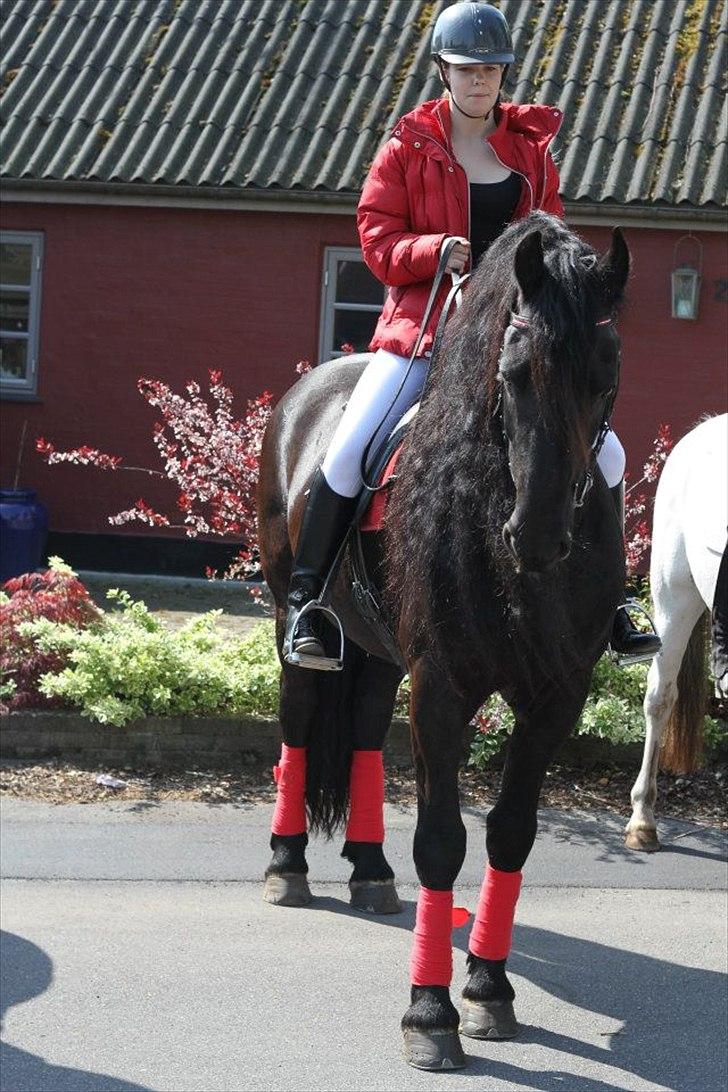 Frieser Jisk fan è Drifte billede 13