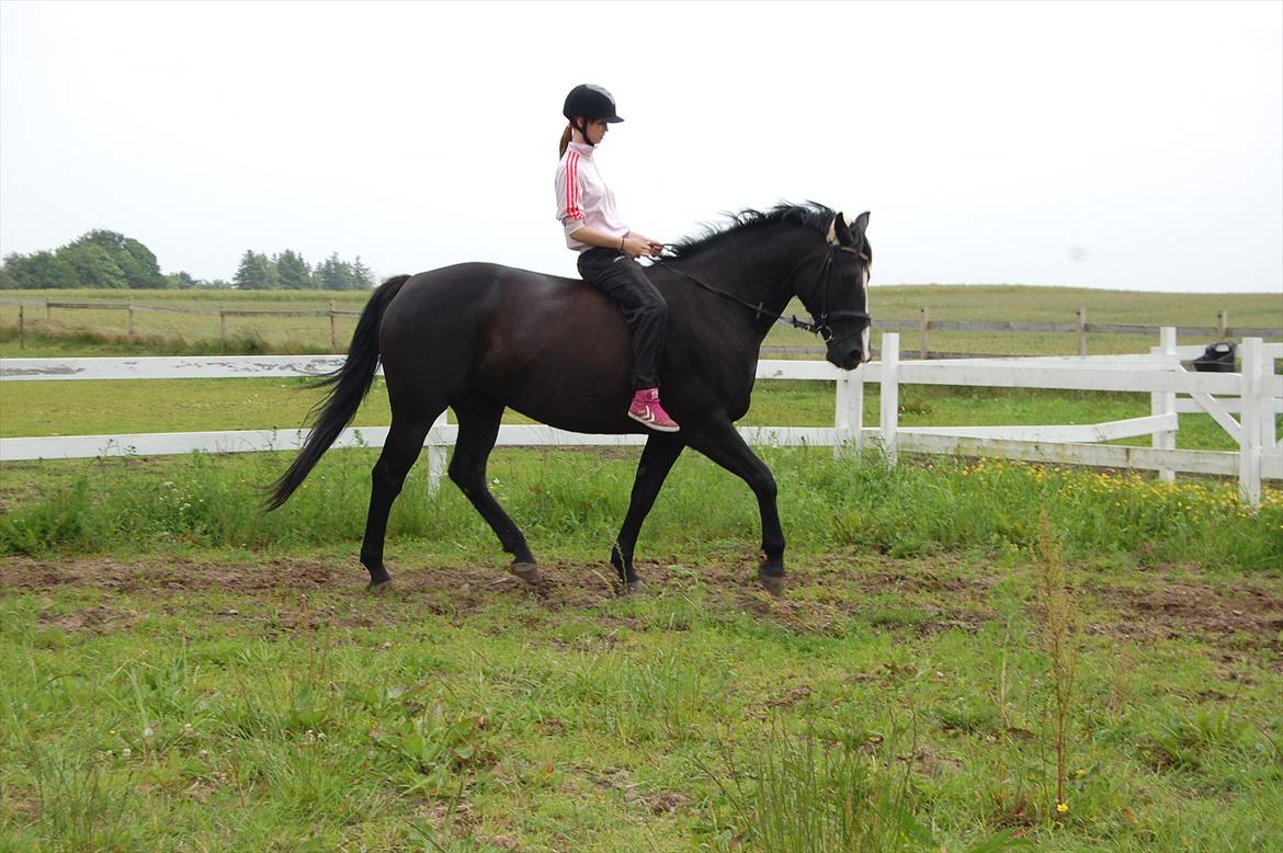 Oldenborg Josefine Fjellerup - VBH -<3 [Prinsesse] - Dressur træning <3 - Juni - 2012 <3
// Nanna :-) billede 13