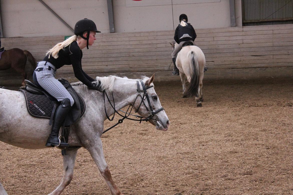 Anden særlig race Lotte - Dygtigt pige :-* <3
#Hved godt jeg ser sur ud men er bare træt ;-) billede 15