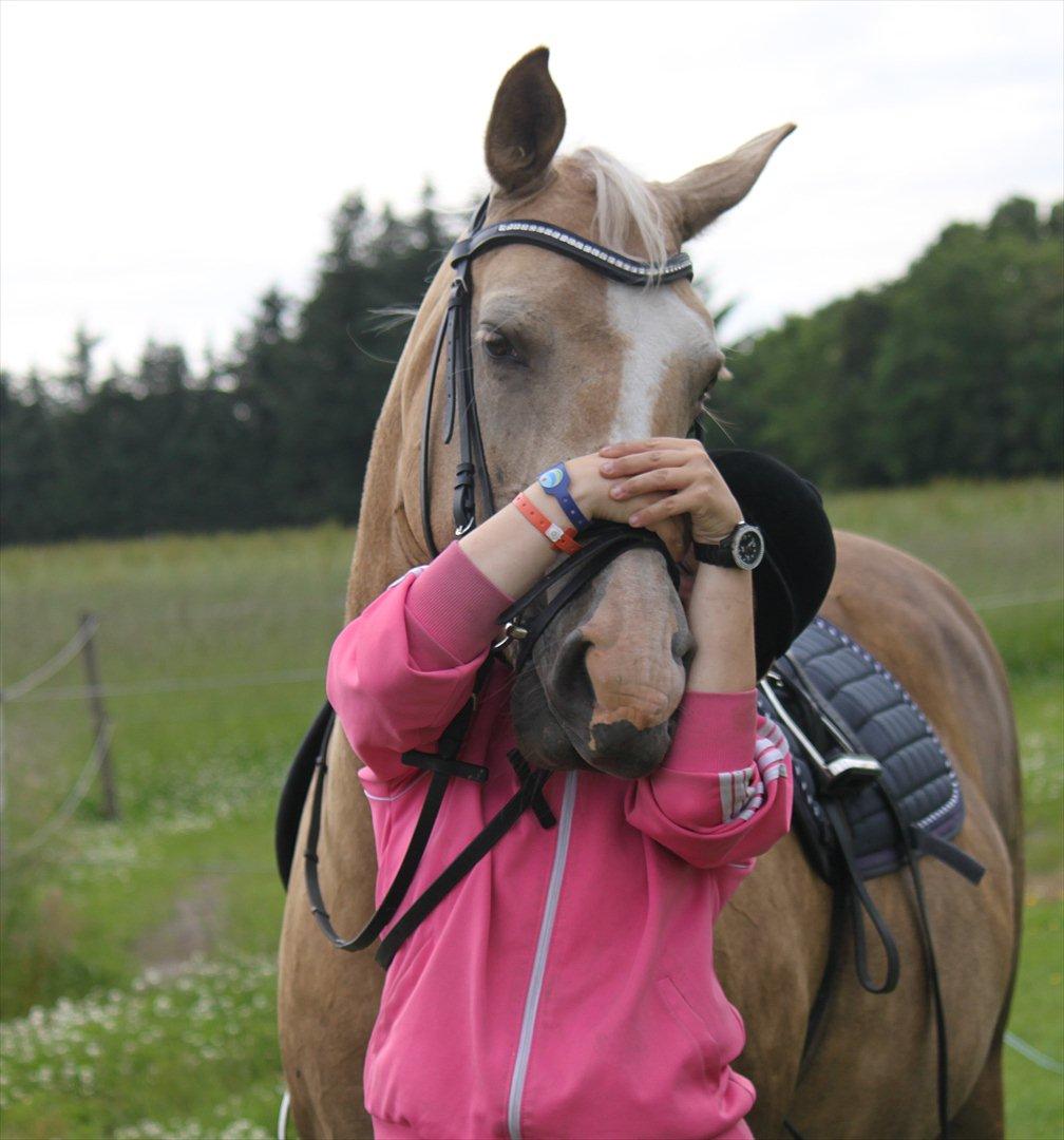 Palomino Barbi gold - Åhhhhh min lille Barbi ELSKER mig !!  billede 11