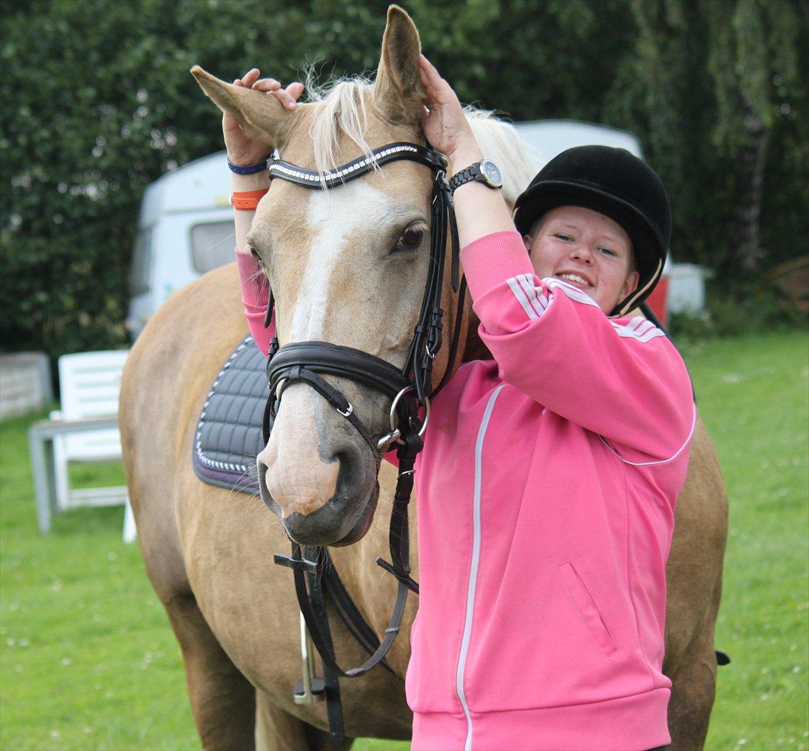 Palomino Barbi gold - Barbi du gør mig så glad, hver gang jeg ser dig lyser jeg helt op, du er fantastisk! <3 billede 12