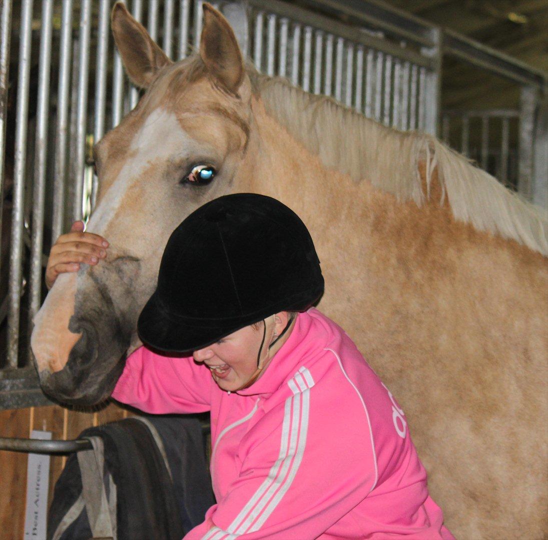 Palomino Barbi gold billede 13