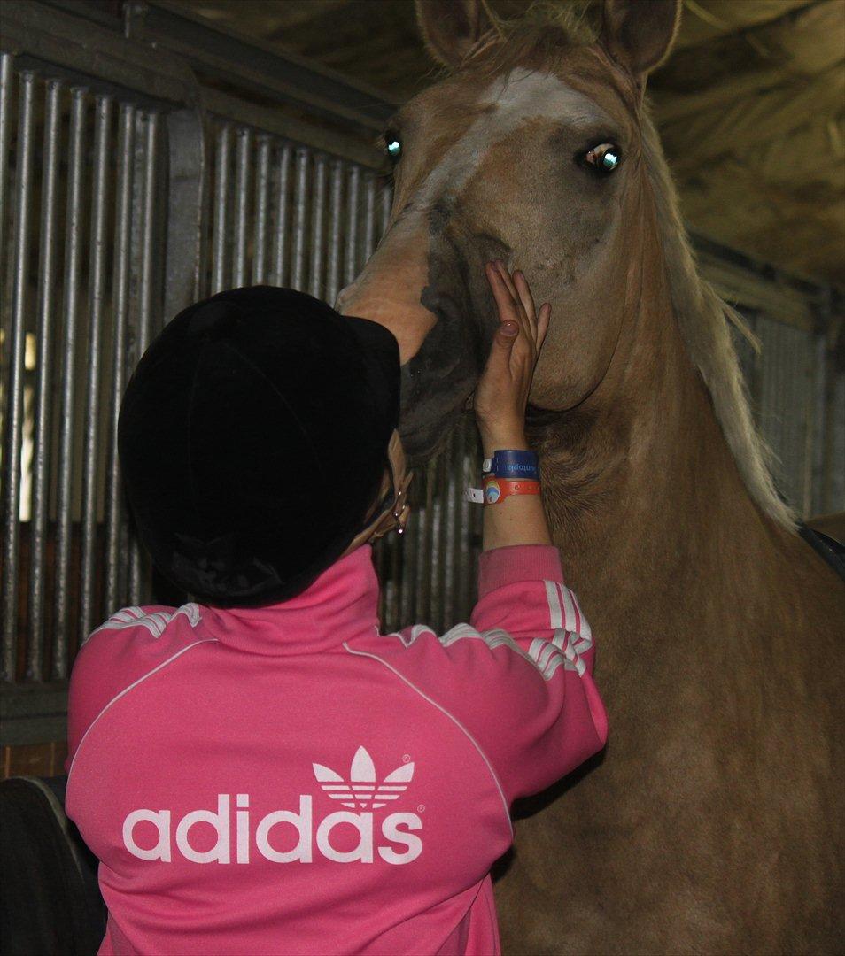 Palomino Barbi gold - Det kaldes LOVE! <3  billede 15