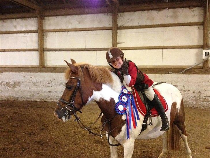 Anden særlig race Sillepigen - Stævne HGRK 
d. 29-06-2012
3 klasser = 3 rosetter, til 2 x 50 cm og 1 x 60 cm billede 4