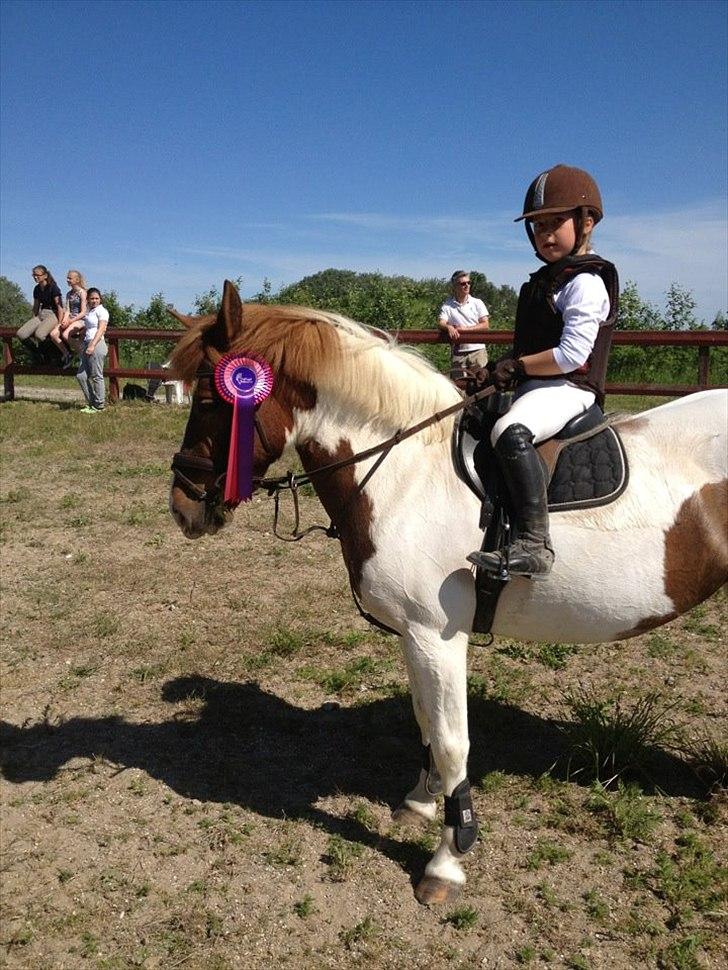 Anden særlig race Sillepigen - Stævne VER
d. 28-05-2012 billede 7