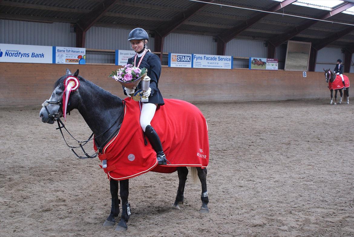 Anden særlig race Jojo (solgt) - Klubmester 2012... billede 2