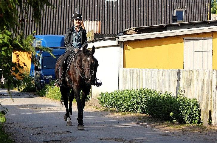 Oldenborg Felix - en lille Skridt-tur efter vi havde redet <3 billede 7