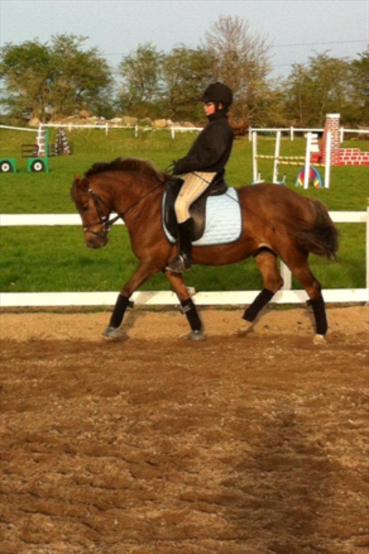 Anden særlig race Blanca - Velkommen til Blancas profil<3

OBS Billederne er bilvet en smule udstylige da de kom på hestegallari billede 1
