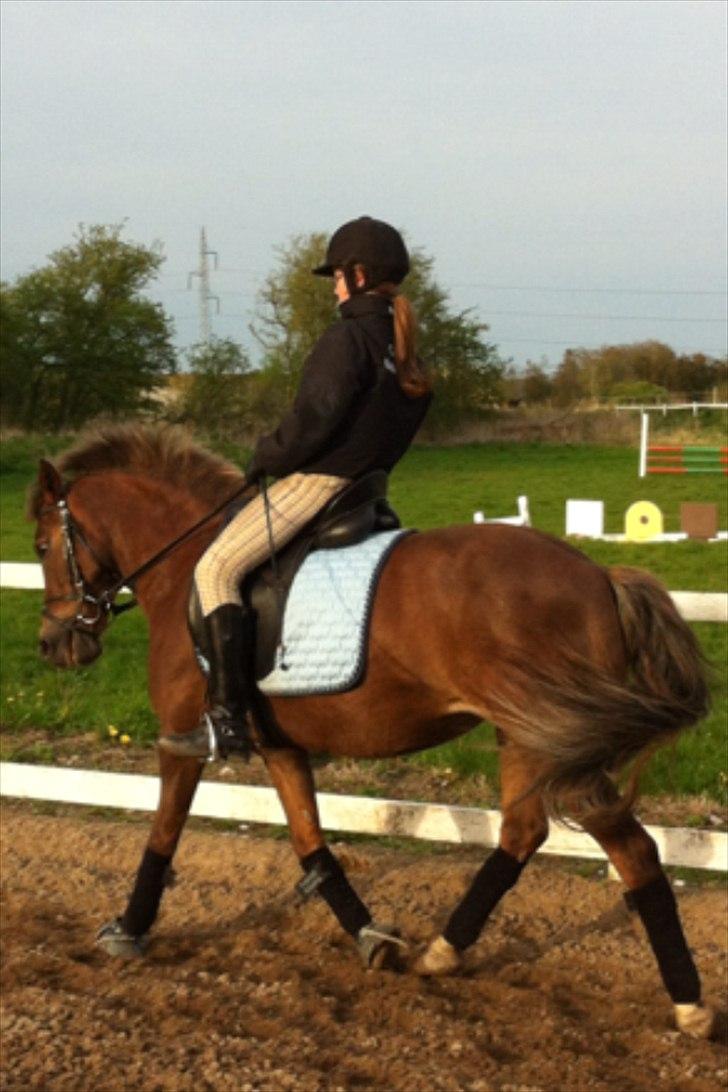 Anden særlig race Blanca - Dressur Træning <3

OBS Billederne er bilvet en smule udstylige da de kom på hestegallari billede 2