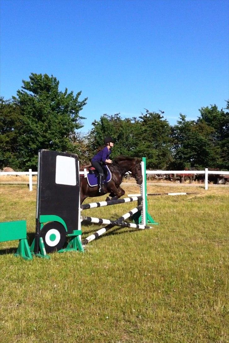 Anden særlig race Blanca - Spríning<3

OBS Billederne er bilvet en smule udstylige da de kom på hestegallari billede 3