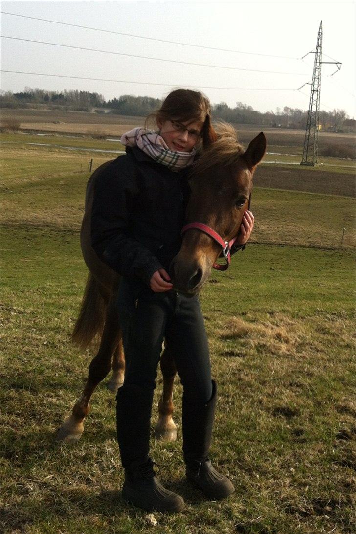 Anden særlig race Blanca - OBS Billederne er bilvet en smule udstylige da de kom på hestegallari billede 6