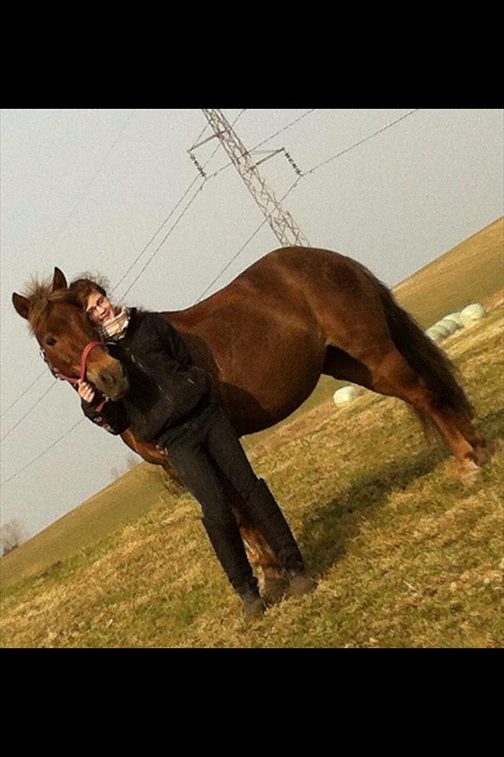 Anden særlig race Blanca - OBS Billederne er bilvet en smule udstylige da de kom på hestegallari billede 7