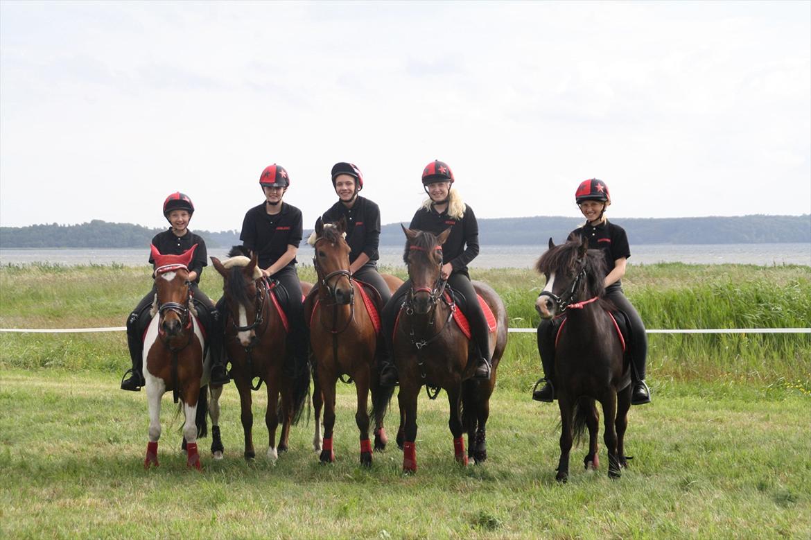 DSP Kvazandra Lapaz - DK pony cup 2012 med det bedste hold! Red riders <3 billede 20