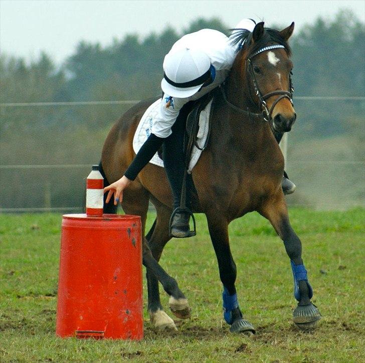 DSP Mirain Charming - Charmings første games-stævne:) billede 5