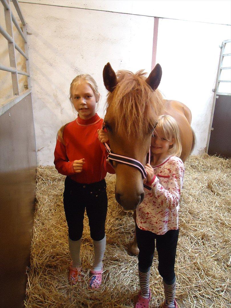 Anden særlig race Rosa - Ida, Rosa og Anna billede 5