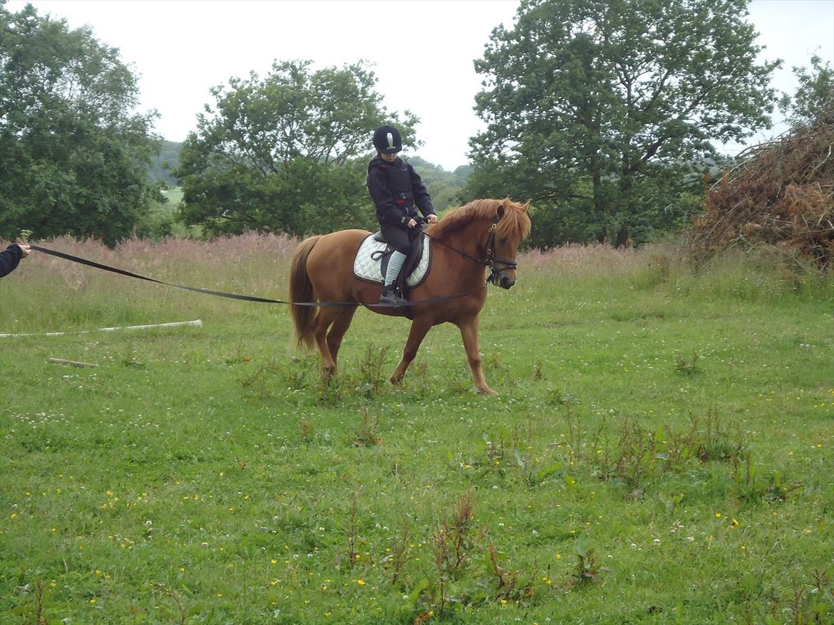 Anden særlig race Rosa - Da Ida prøvede hende(: billede 6