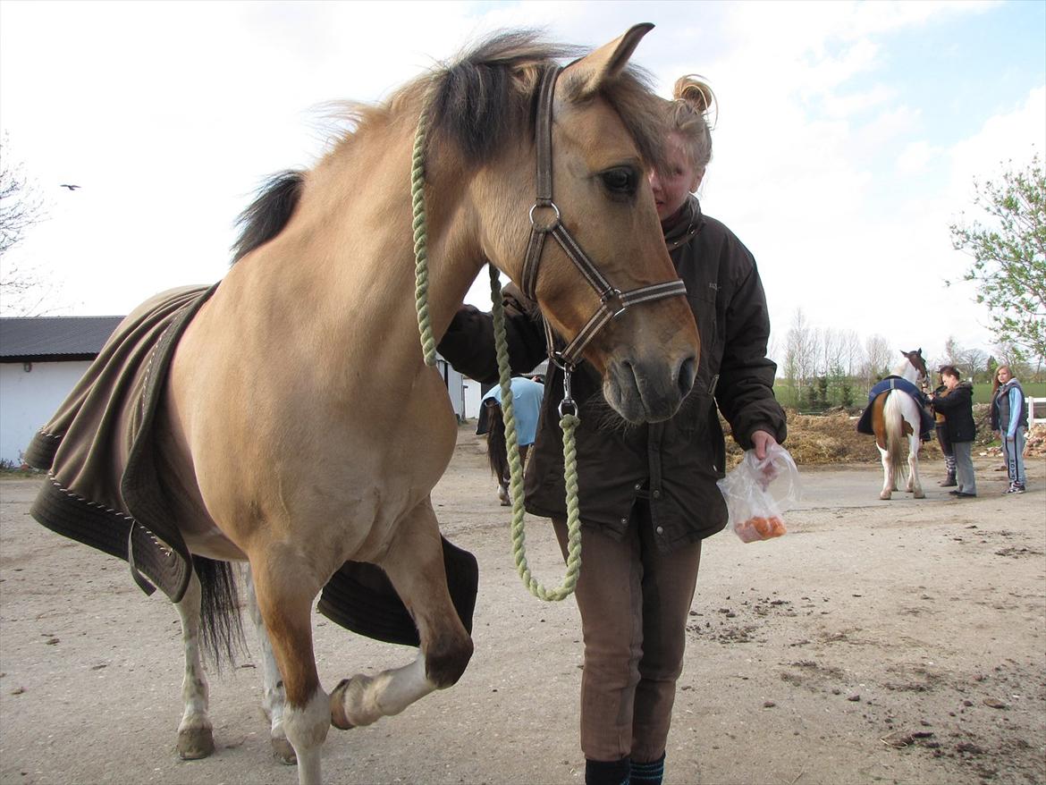 Anden særlig race Emma Merci (Min prinsesse) mit et & alt<3 - Lidt træning i at Prinsessen løfter benet, når jeg også gør det :*

Maj 2012  billede 13