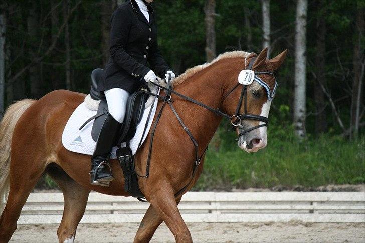 Anden særlig race sprint - dette er lige de billeder vi har af ham der kommer selvfølgelig flere :-) billede 1