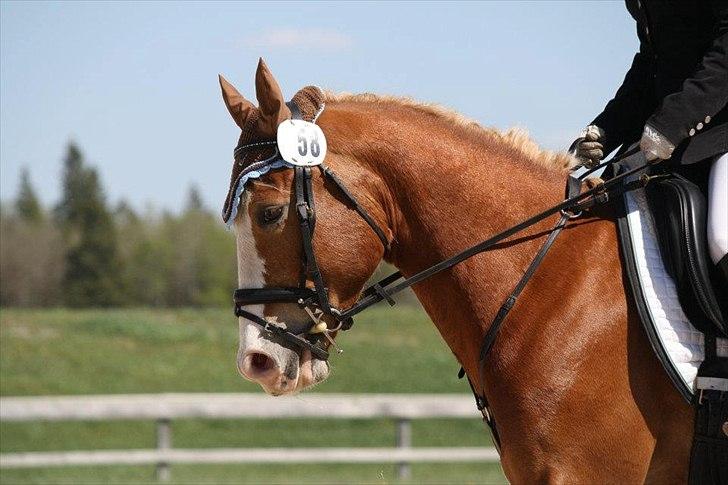 Anden særlig race sprint billede 3