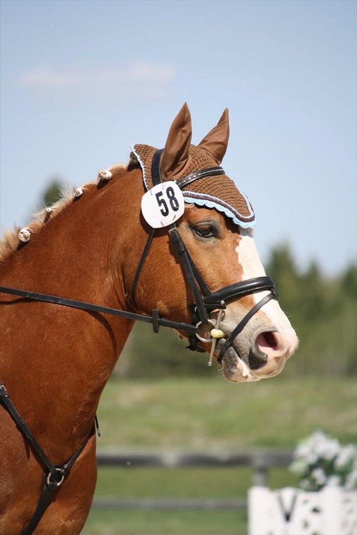Anden særlig race sprint billede 4