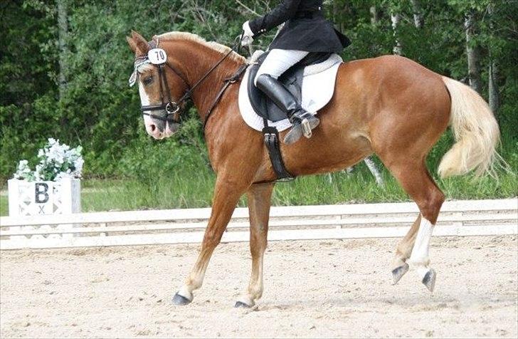 Anden særlig race sprint billede 11
