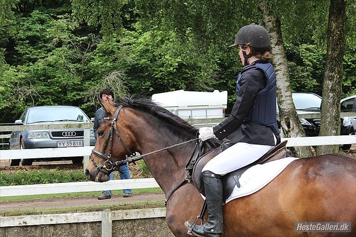 Anden særlig race Wigwam [Min stjerne] - billede taget af Julie billede 12