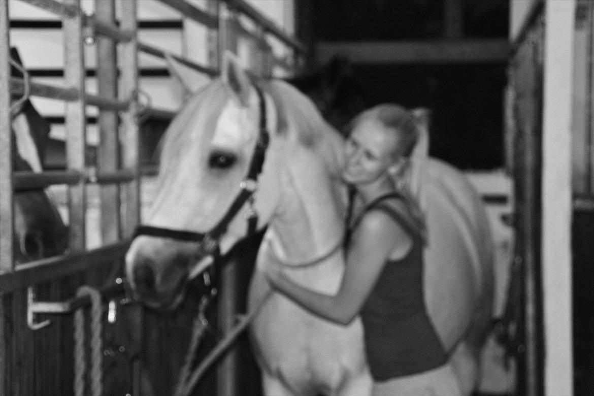 Connemara Mona - Foto: Amalie Lilja Reimer  billede 1