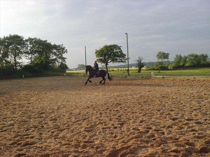 Frieser sietske van de sweach billede 13