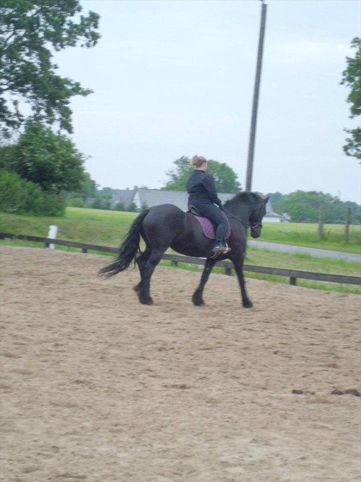 Frieser sietske van de sweach billede 15