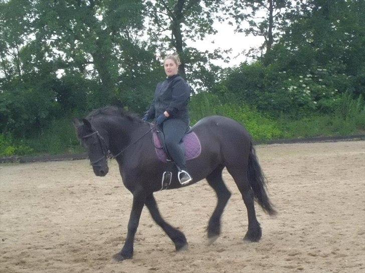 Frieser sietske van de sweach billede 16