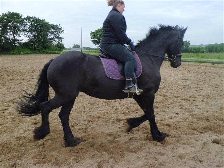 Frieser sietske van de sweach billede 17