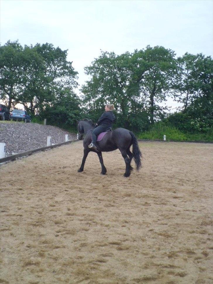 Frieser sietske van de sweach billede 18