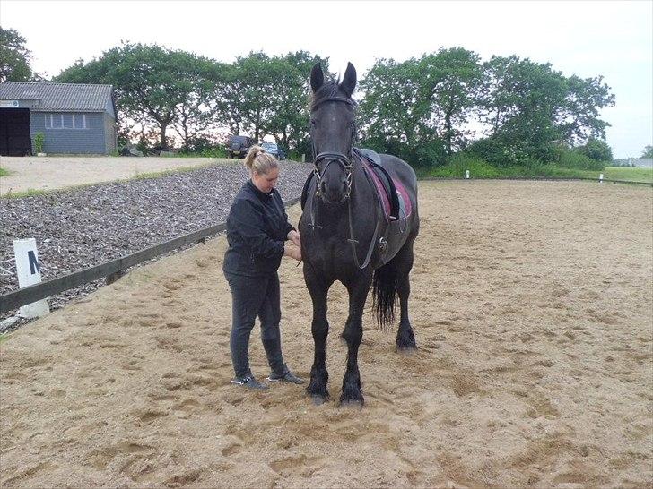 Frieser sietske van de sweach billede 19