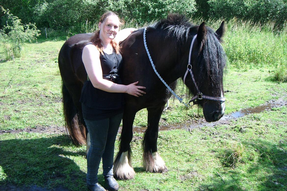 Irish Cob Alanas Lasair - Baby & Jeg, dagen efter vi fik hende hjem <3  billede 25