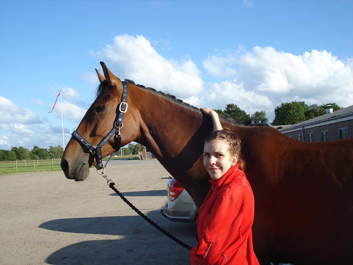 Dansk Varmblod Van Light - ud og gå en lille tur <3 billede 5