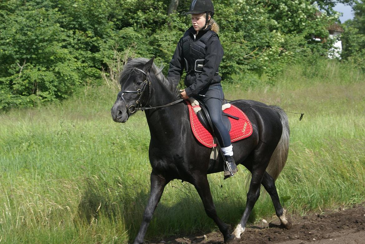 Anden særlig race Nørgårds Baltazar..<3 - <3 billede 19