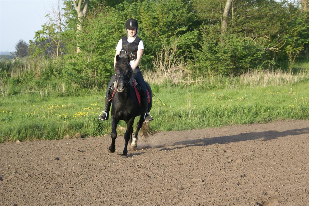 Anden særlig race Nørgårds Baltazar..<3 - <3
 billede 20