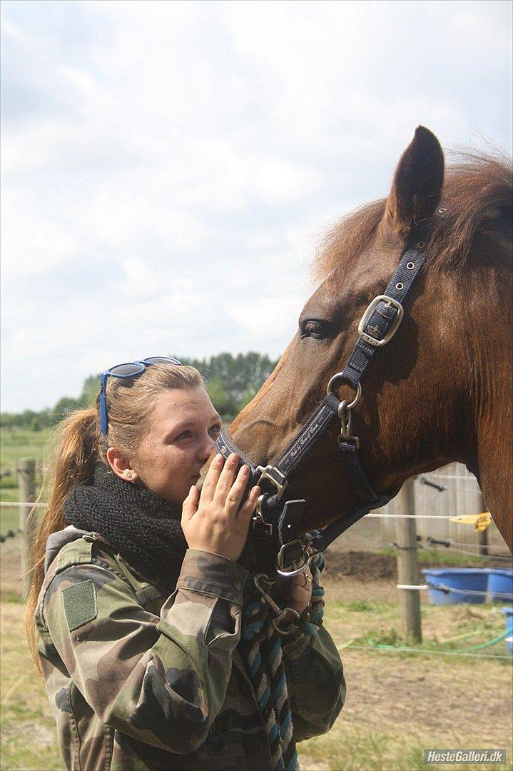 New Forest Berktzicht Ronald (Bruce) R.I.P  - 12/6-12 sluttede dit liv! ♥ og skulle kigge ind dine brune øjne og vide at vi ikke kommer til og se hinanden mere var hårdere end du tror! ♥ den måde du lagde dit hovede på min skulder og puster mig ind i øret for at fortælle mig, var hårdt! ♥ Bruce ♥  billede 1