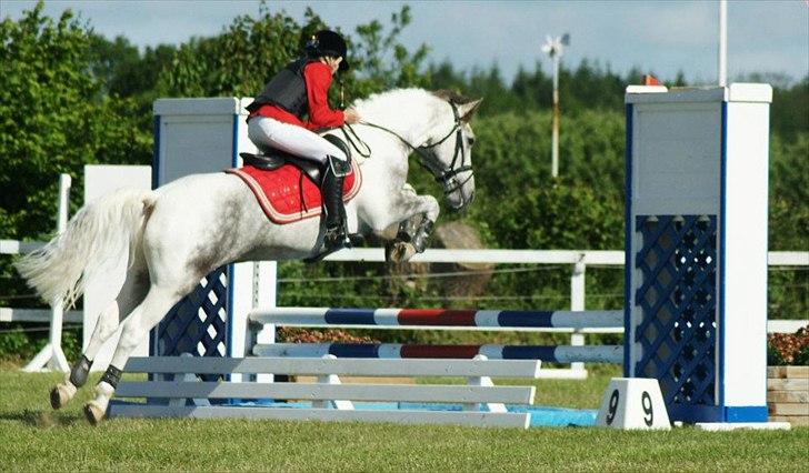 Anden særlig race Ellegårdens Bjarne a.k.a Casmir - FYNSMESTER for individuel 2012!<3 billede 5